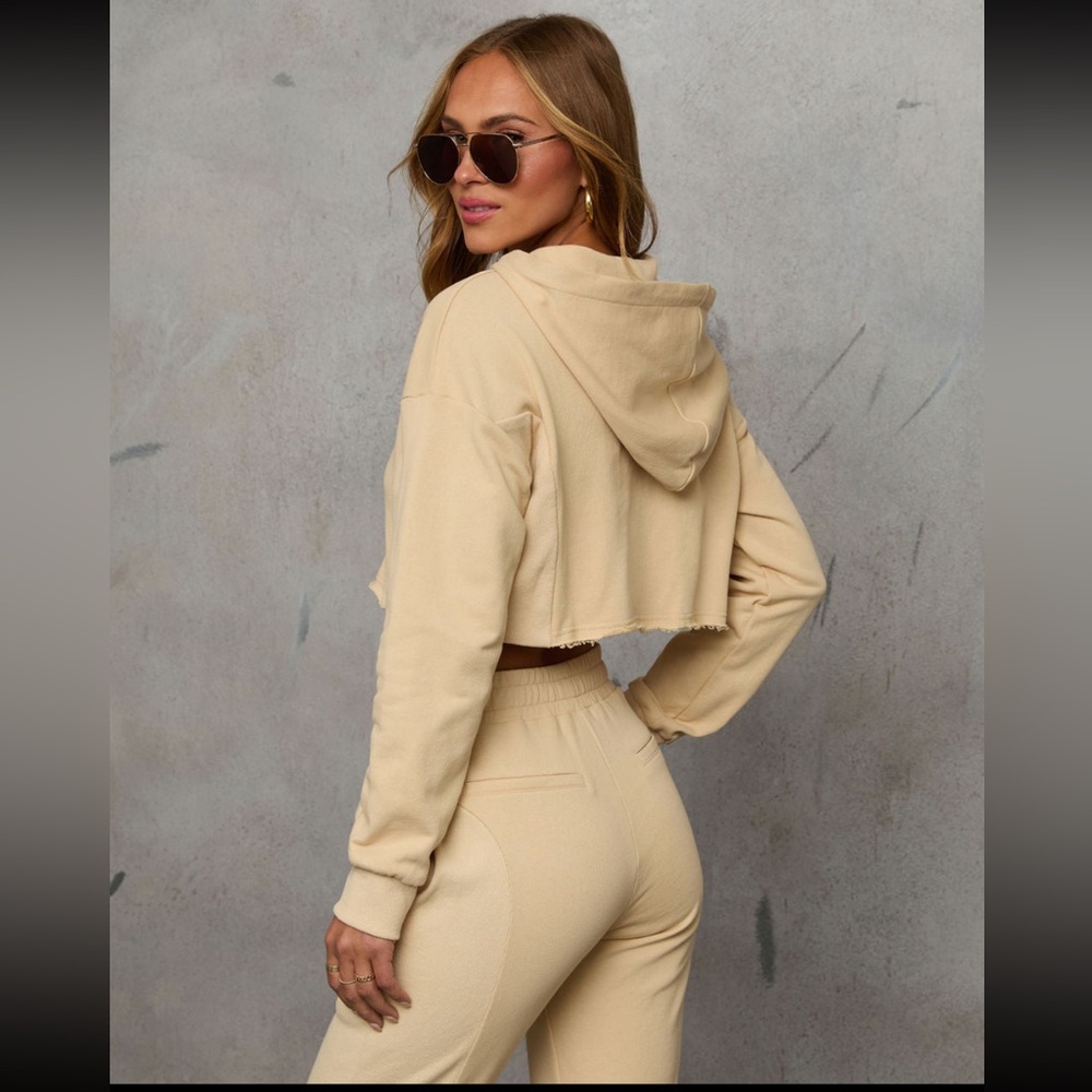 Hooded Sweatshirt/ High Wasted Jogger Set - Picture 3 of 3